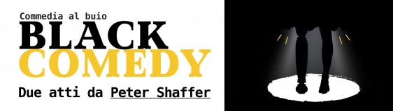 Black Comedy – Commedia al buio